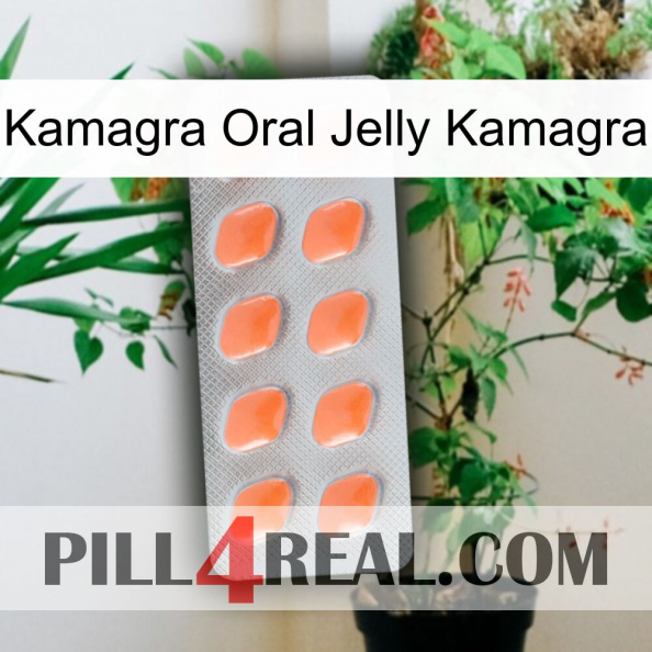 Kamagra Oral Jelly Kamagra 26